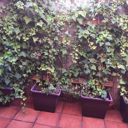 Bonito Piso Centro De Los Boliches Fuengirola Exteriér fotografie