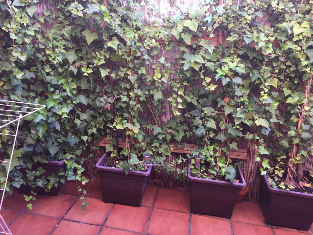 Bonito Piso Centro De Los Boliches Fuengirola Exteriér fotografie